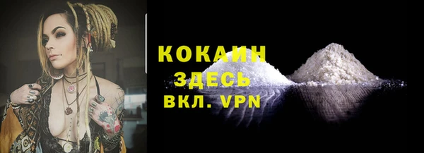 PSILOCYBIN Чекалин