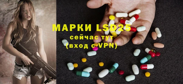 PSILOCYBIN Чекалин
